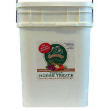 Load image into Gallery viewer, GIDDYAP GIRLS PREMIUM HORSE TREATS