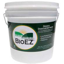 Load image into Gallery viewer, GIDDYAP GIRLS BIOEZ