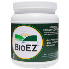 Load image into Gallery viewer, GIDDYAP GIRLS BIOEZ